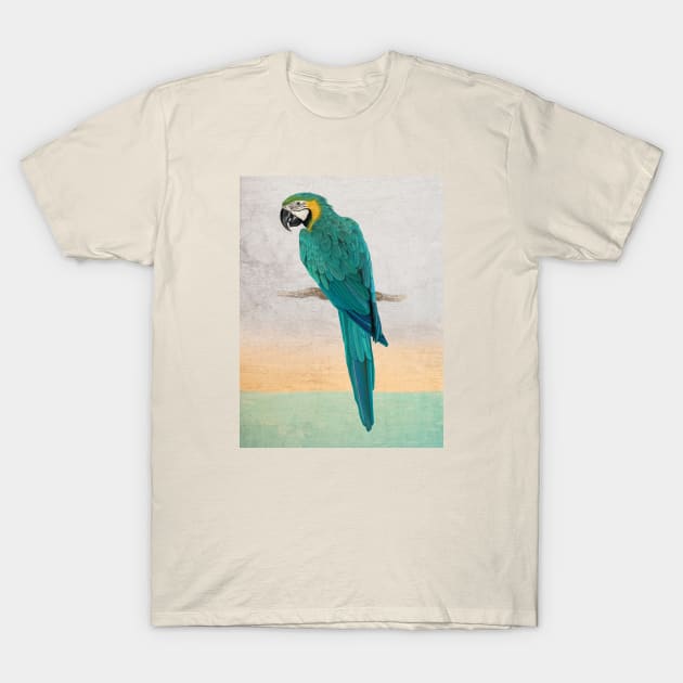 Graffiti Macaw T-Shirt by Seven Trees Design